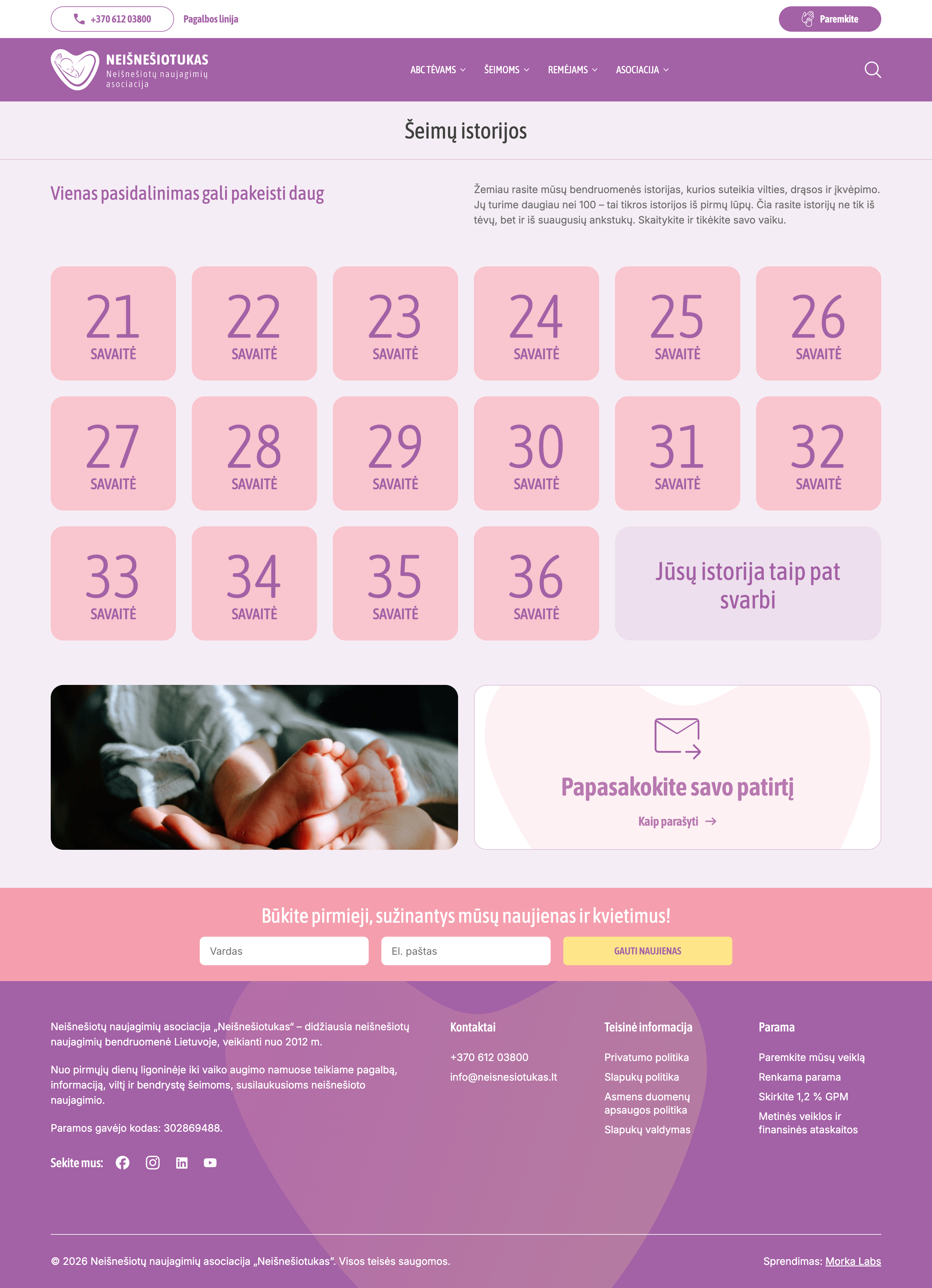 Morka Labs - Neišnešiotukas website